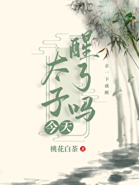 重生嫁太子