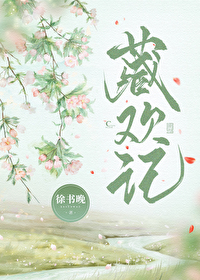藏欢记