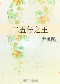 二五仔之王