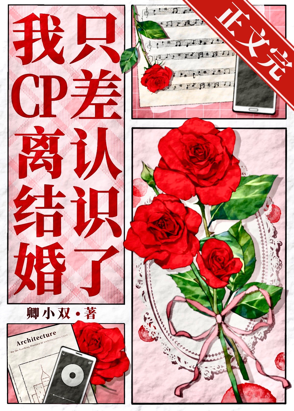 我CP离结婚只差认识了[娱乐圈]